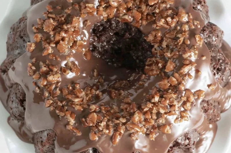Delicious Texas Sheet Cake Bundt Cake served on a white plate