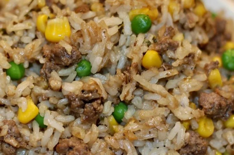 Delicious homemade dirty rice with ground beef served in a bowl